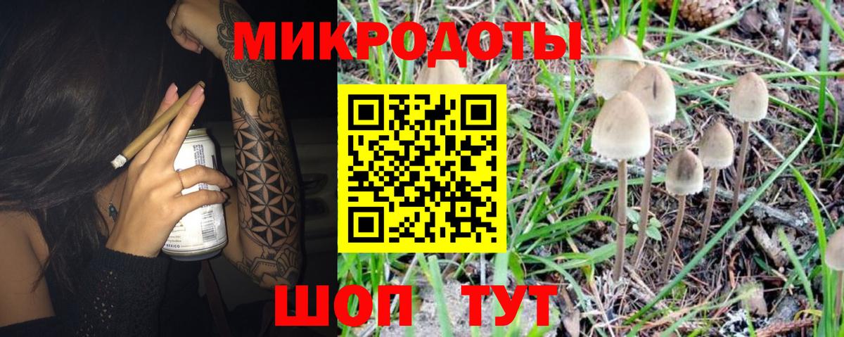 Алексеевка  Галлюциногенные грибы Magic Shrooms  Вход с VPN 